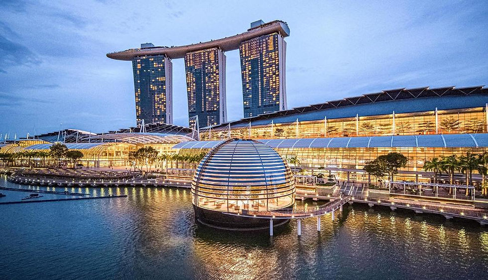 You’ll Be Surprised To See These Top 5 Luxury Hotels Singapore !
