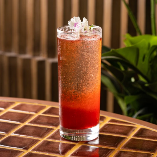 Silly Delhi Cocktail - Spark Me Up A high toast to the occasion with blueberry-infused Campari paired well with gin and topped up with Prosecco.