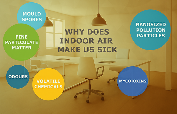 Indoor Air Quality Dangers.png