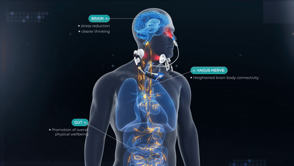 Preventative Healthcare starts with a maintenance plan