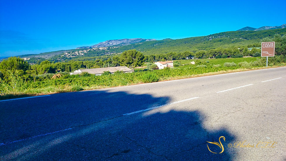 Cassis LR (1).jpg