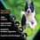 Miniatura: VICTOR Super Premium Dog Food – Hi-Pro Plus Dry Dog Food – 30% Protein, Gluten F