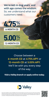 Print Ad for B2C Audience