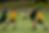 PE.png