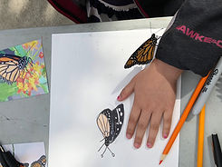 butterfly portrait.jpg