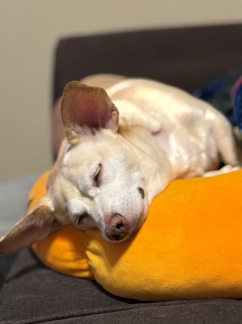 Life Lately: MS Updates, Good News About Ghost, and a Much-Needed Getaway