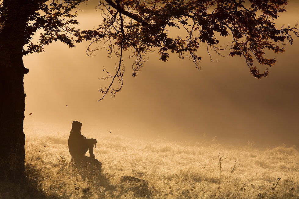 Meditation im Wald, Natur, Nebel.jpeg