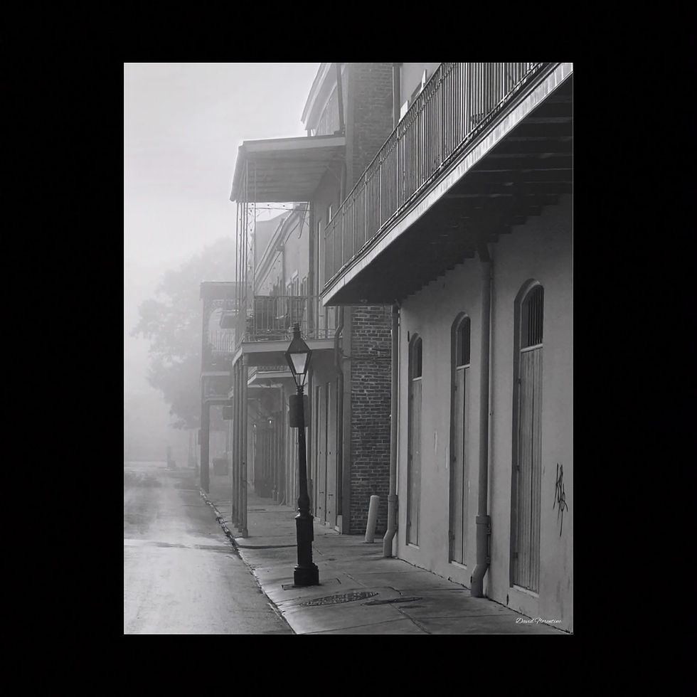 Thumbnail: Foggy French Quarter Street Scene #20 B&W