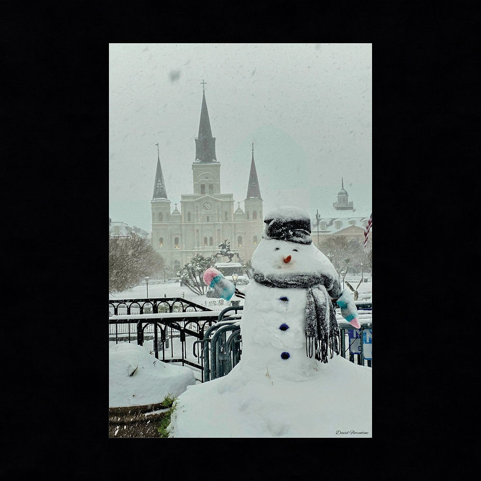 Snowman & The Saint Louis Cathedral - New Orleans Historic 2025 Blizzard