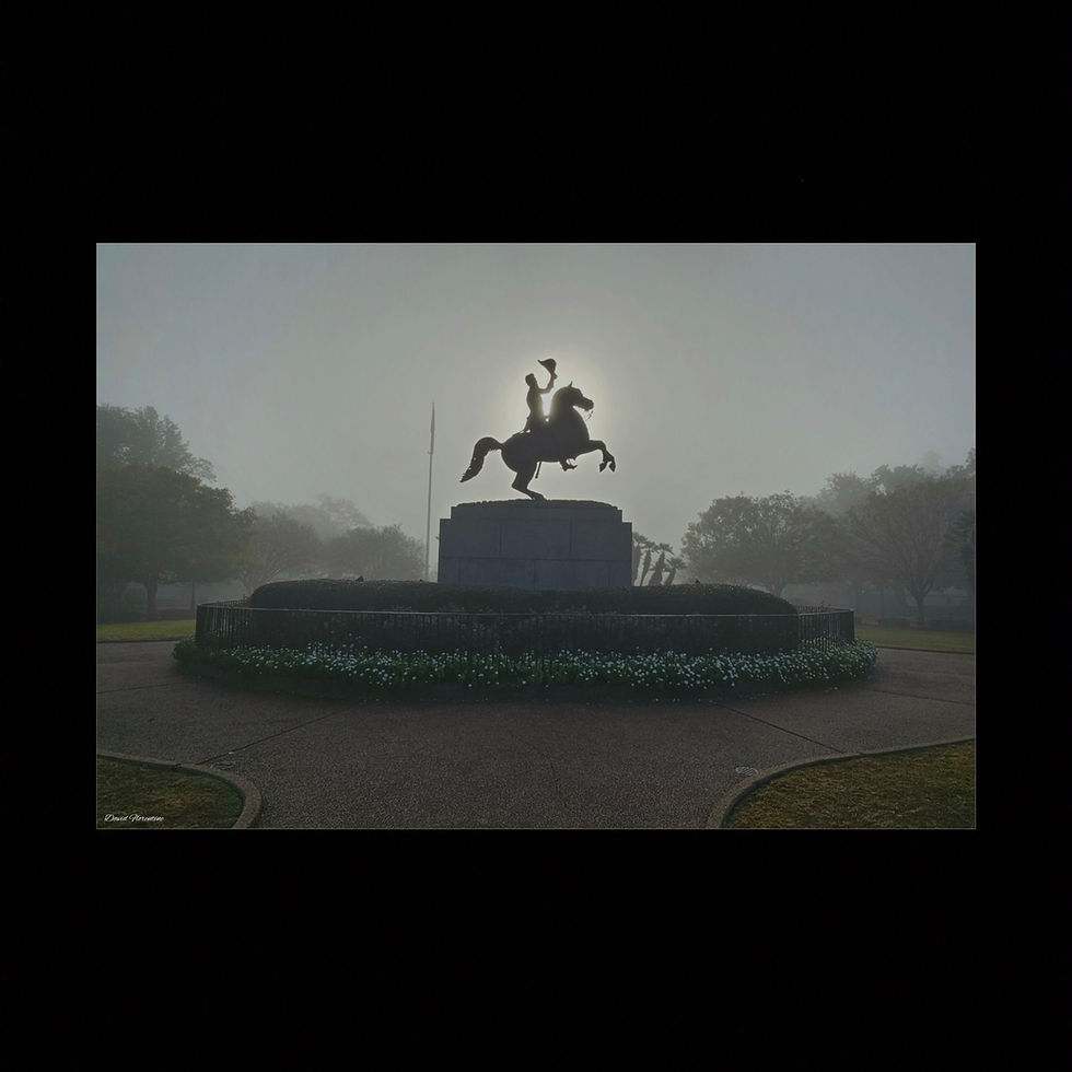 Thumbnail: Foggy Sunrise Over Andrew Jackson Statue