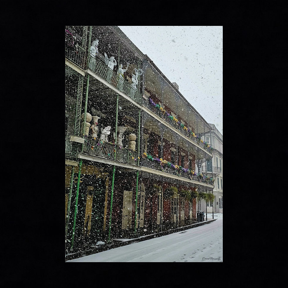 Winter Wonder Land On Royal Street - New Orleans Historic 2025 Blizzard