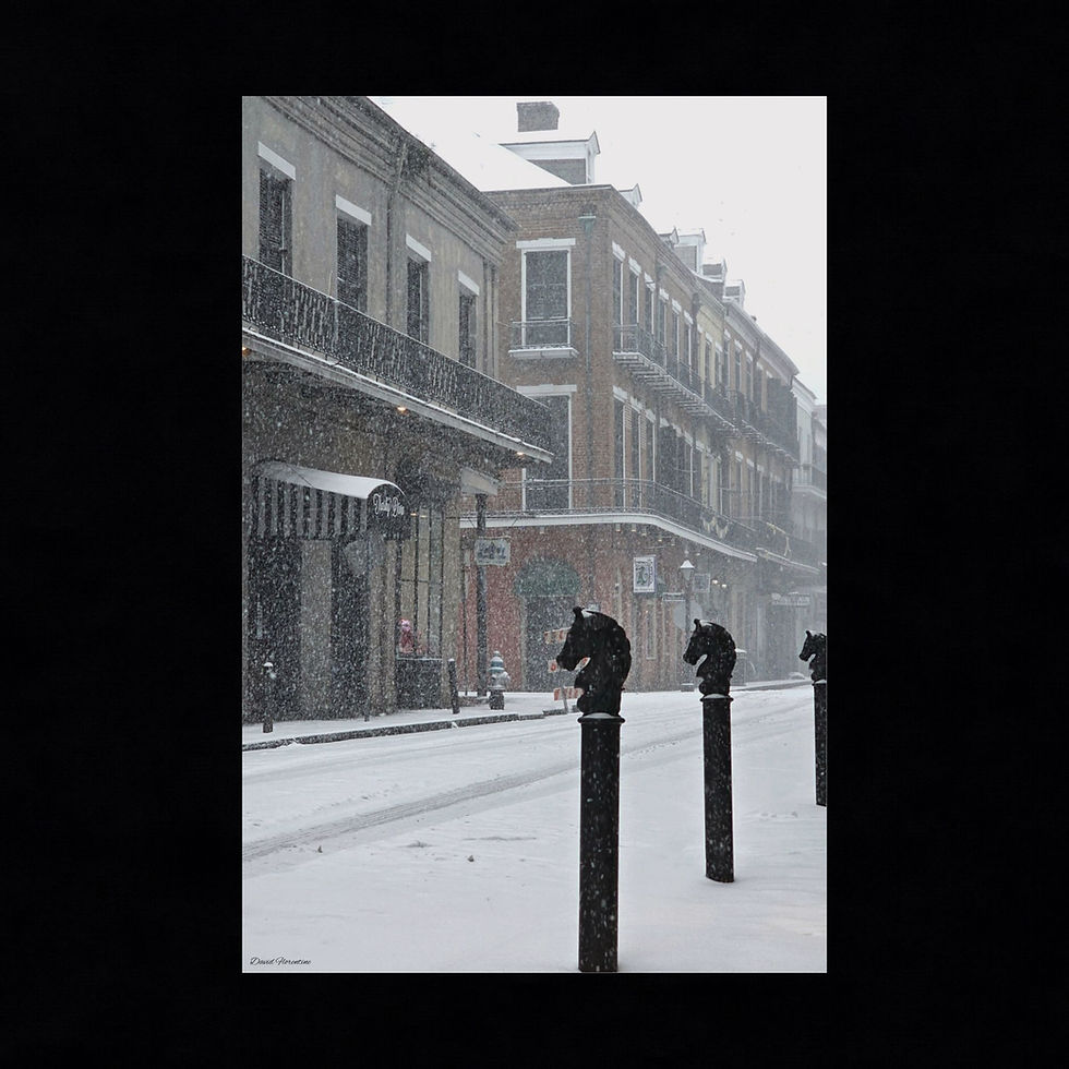 Thumbnail: Snowy Royal Street - New Orleans Historic 2025 Blizzard 