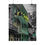 Thumbnail: French Quarter Balconies - Madison Street with a pop of green!