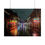 Thumbnail: Poster: In The Eye of Hurricane Francine 2024, Bourbon Street.