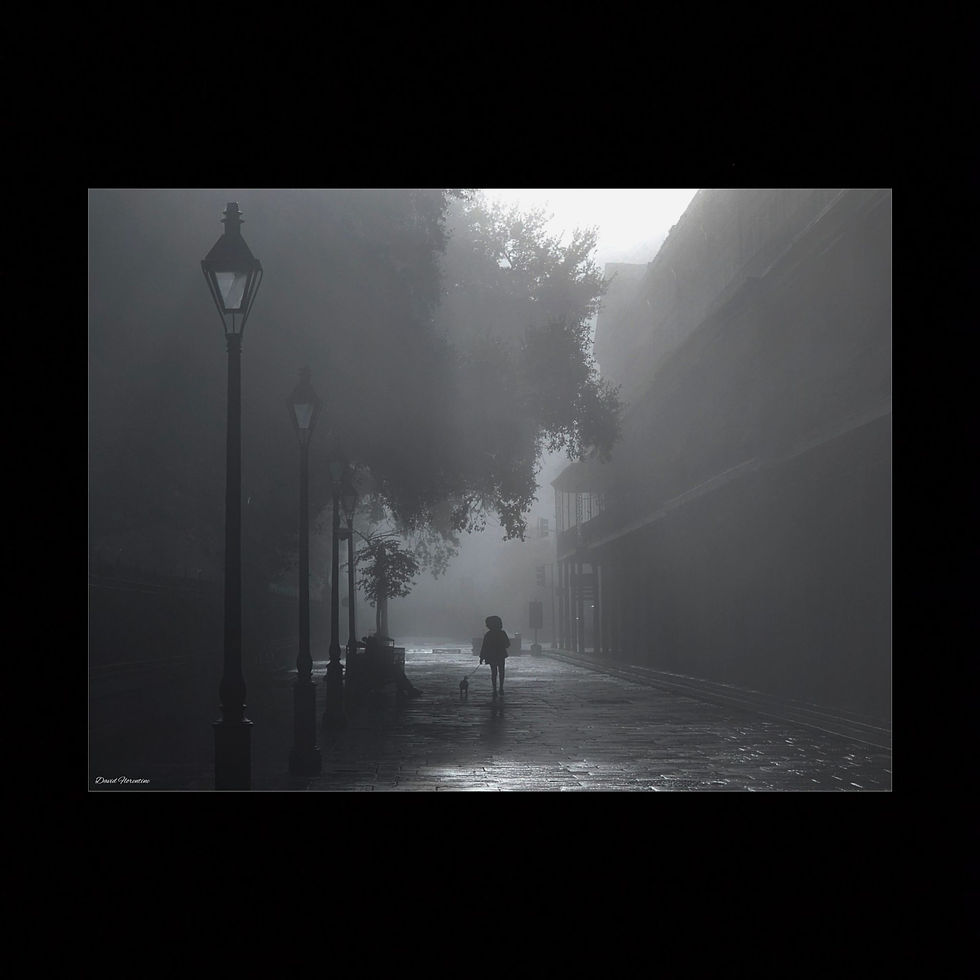 Thumbnail: Foggy Morning Stroll Through Jackson Square