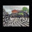Thumbnail: Through The Eyes of The Iron Benches, Jackson Square. Pontalba Apts, St Ann.