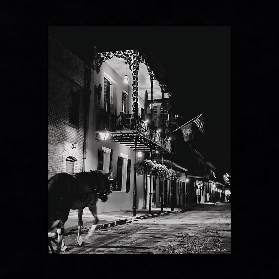 Thumbnail: Mule Drawn Carriage Down Chartres Street 