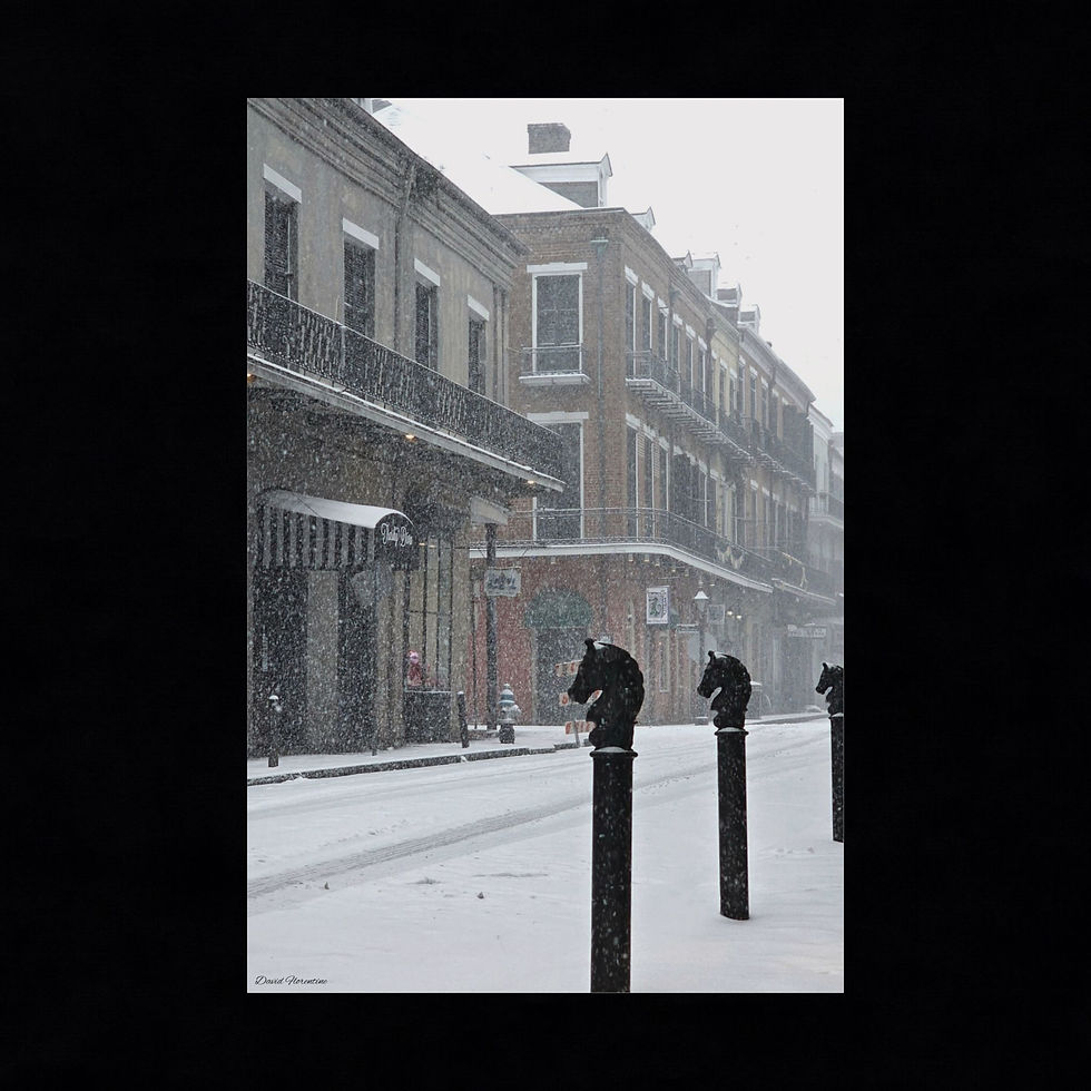 Snowy Royal Street - New Orleans Historic 2025 Blizzard 