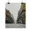 Thumbnail: Saint Louis Street - New Orleans Historic 2025 Blizzard