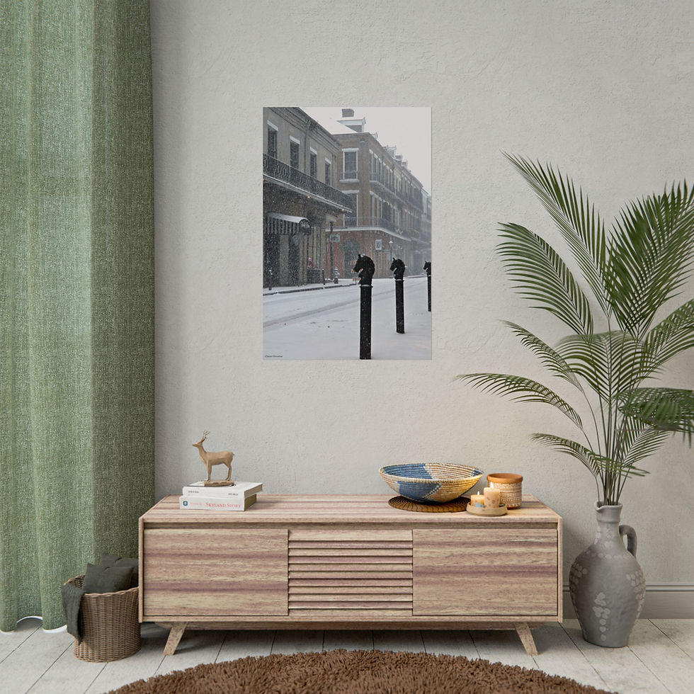 Thumbnail: Snowy Royal Street - New Orleans Historic 2025 Blizzard 