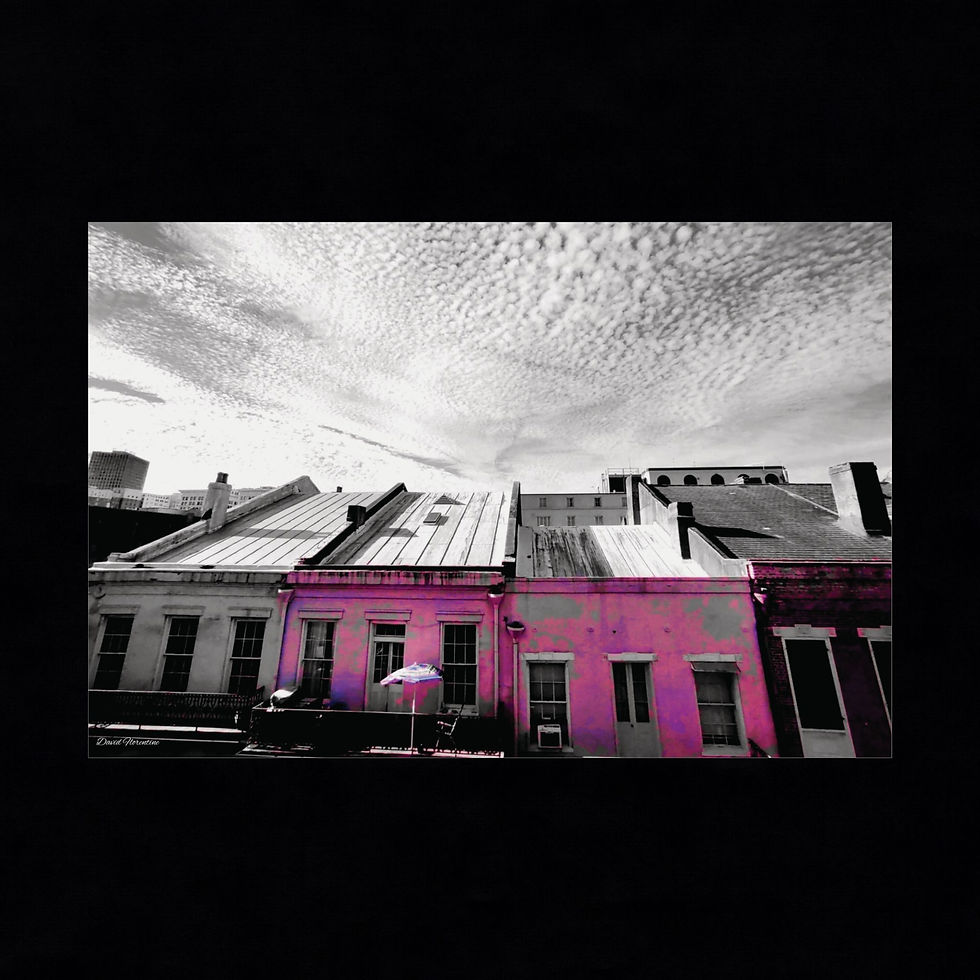 Looking over the 300 Block of Royal Street - pop of pink!