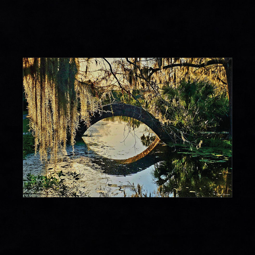 Thumbnail: Langles Bridge, City Park, New Orleans