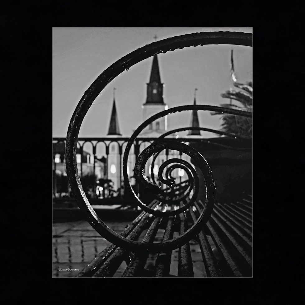 Thumbnail: Through The Eyes of The Iron Benches, Fibonacci spiral with St. Louis Cathedral
