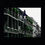Thumbnail: French Quarter Balconies with a Pop of Green, Royal Street, New Orleans