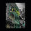 Thumbnail: French Quarter Balconies - Madison Street with a pop of green!
