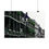 Thumbnail: French Quarter Balconies with a Pop of green, Royal Street, New Orleans