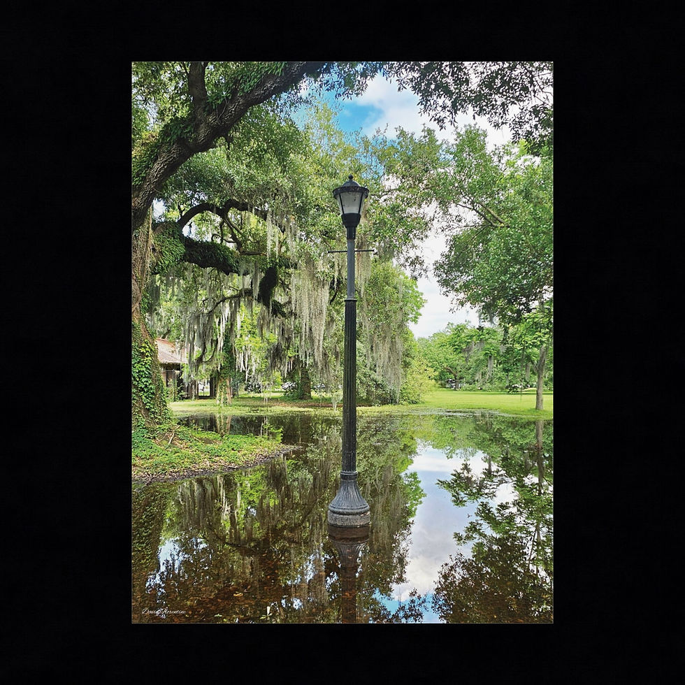 Thumbnail: Vintage Lamp Post - Audubon Park