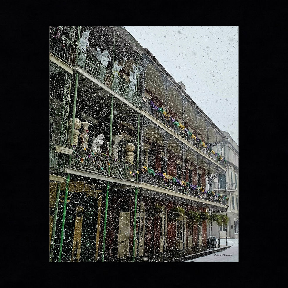 Thumbnail: Winter Wonder Land On Royal Street - New Orleans Historic 2025 Blizzard