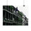 Thumbnail: French Quarter Balconies with a Pop of green, Royal Street, New Orleans