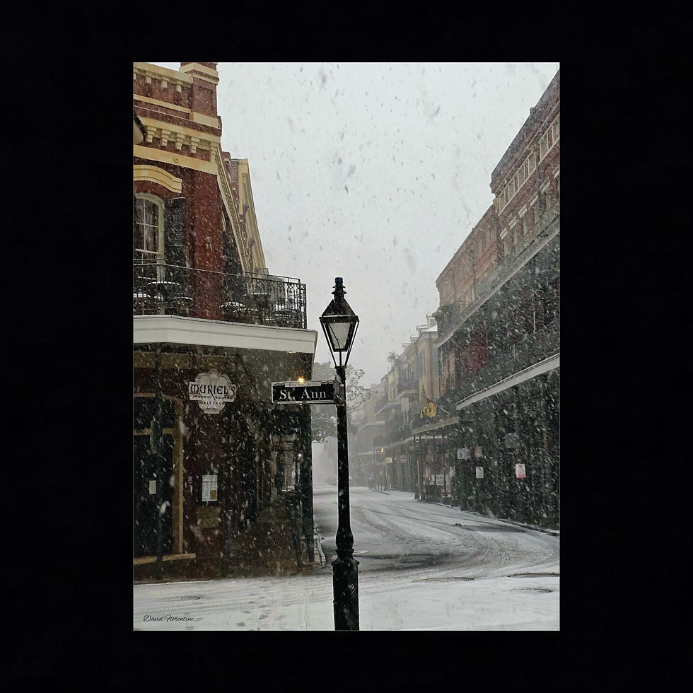 Muriel's On St. Ann Street - New Orleans Historic 2025 Blizzard
