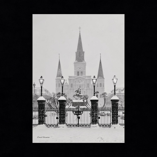 Historic St Louis Cathedral - New Orleans Historic 2025 Blizzard
