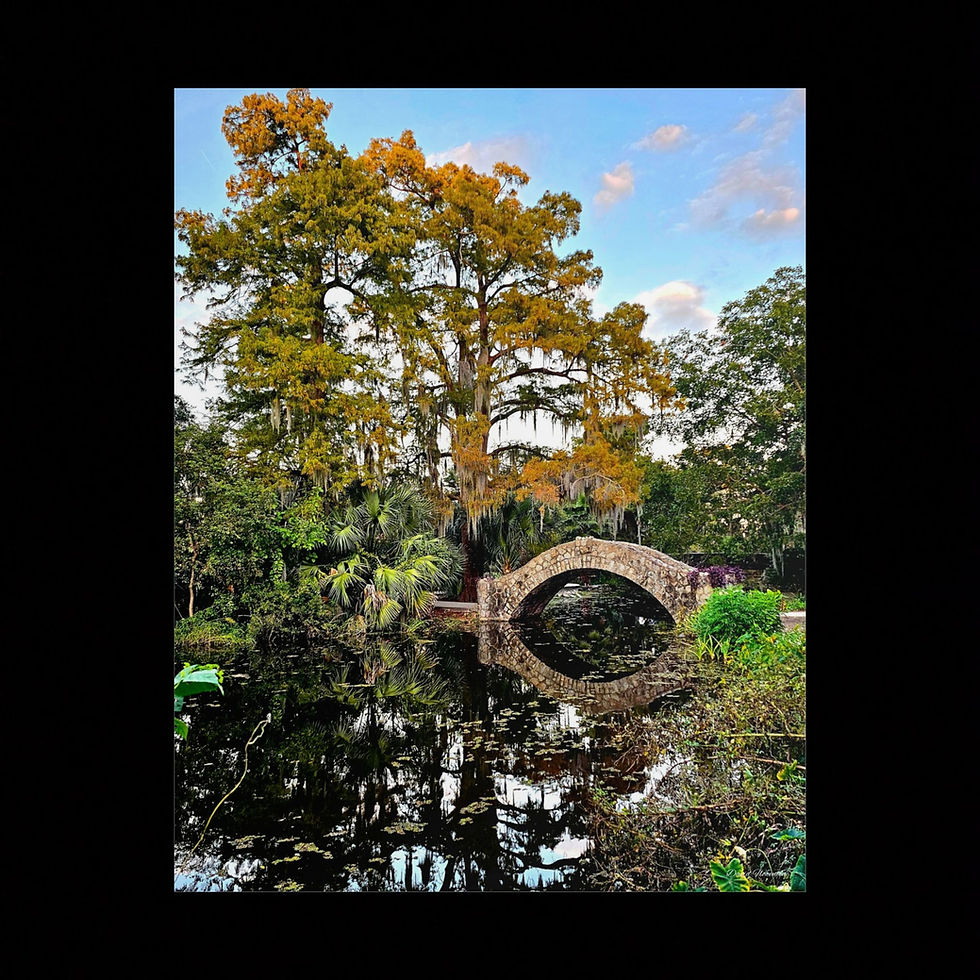 Thumbnail: Sunlit Stone Bridge reflections in City Park