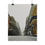Thumbnail: Saint Louis Street - New Orleans Historic 2025 Blizzard