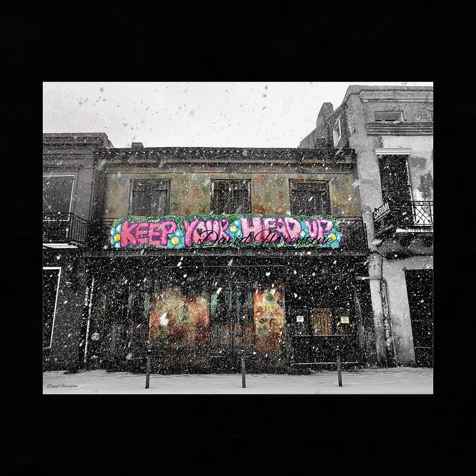 Preservation Hall - New Orleans Historic 2025 Blizzard