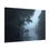 Thumbnail: Poster: A foggy Stroll Through the French Quarter.