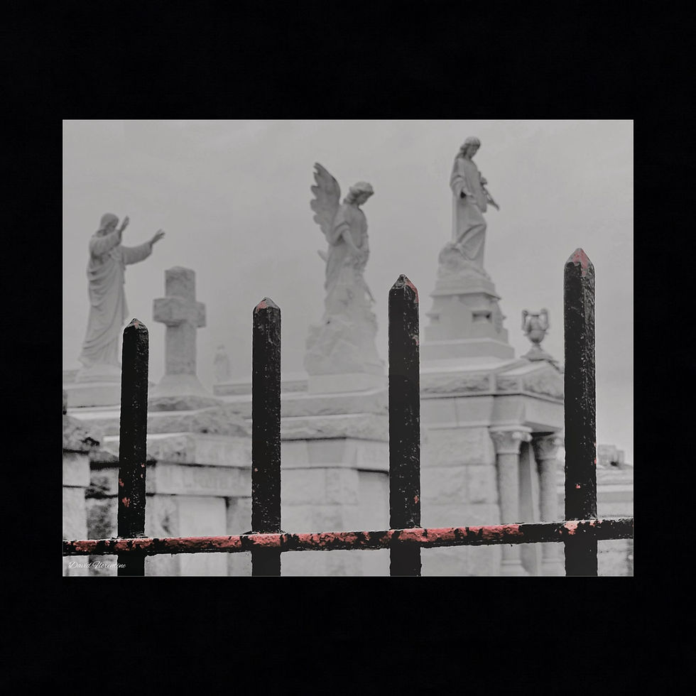 Thumbnail: Angels In St Louis Cemetery #3