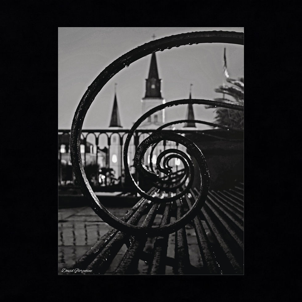 Through The Eyes of The Iron Benches, Fibonacci spiral with St. Louis Cathedral