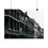 Thumbnail: French Quarter Balconies with a Pop of green, Royal Street, New Orleans