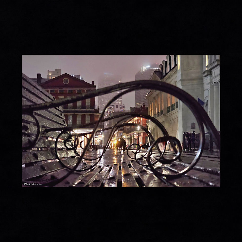 Through The Eyes of The Iron Benches, Jackson Square, New Orleans