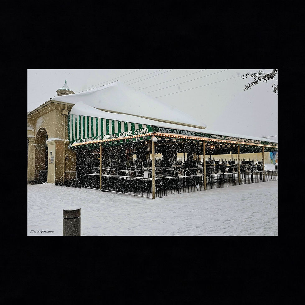 The Original Cafe Du Monde - New Orleans Historic 2025 Blizzard