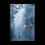Thumbnail: Poster: Foggy Pirates Alley, French Quarter.