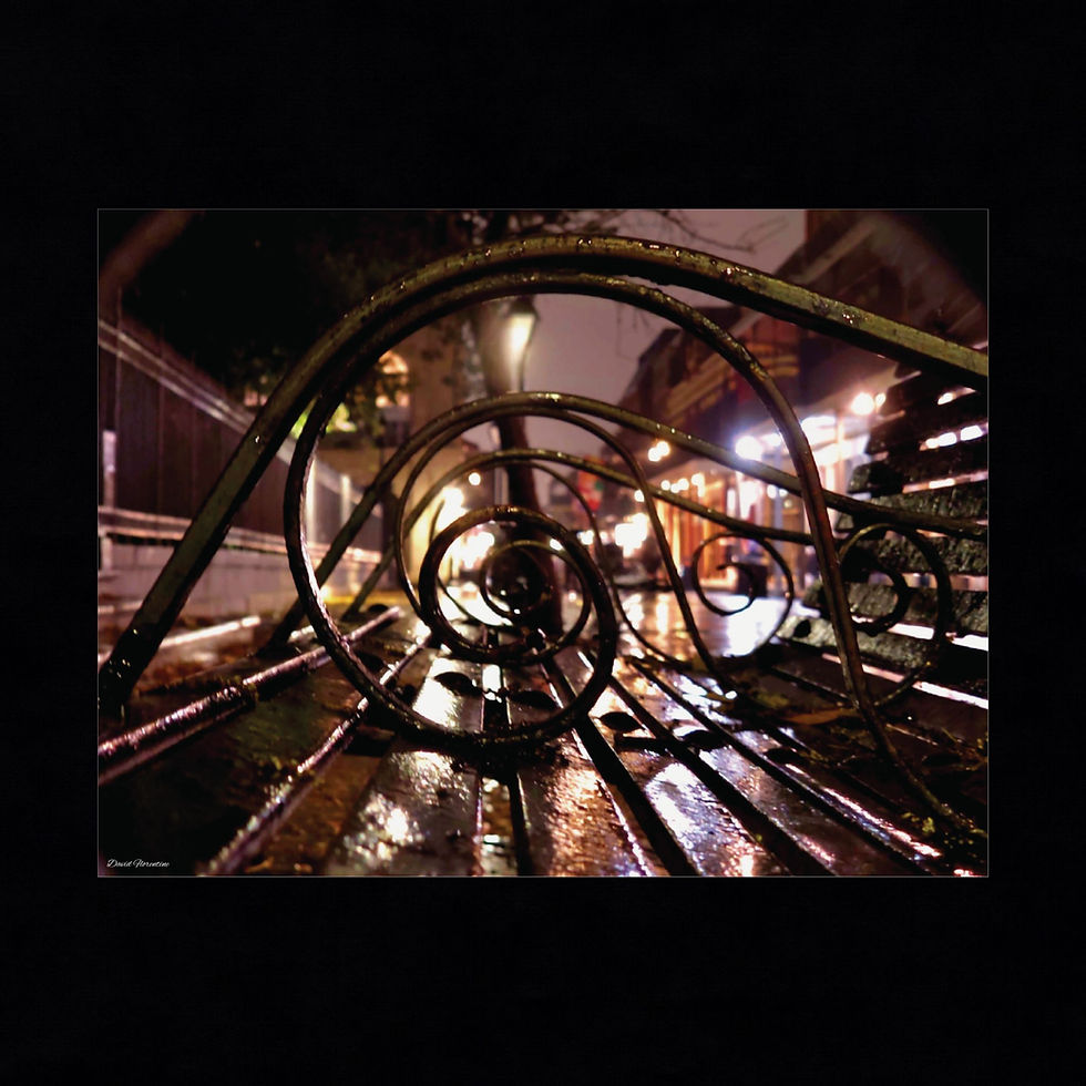 Thumbnail: Through The Eyes Of The Iron Benches, Jackson Square