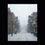 Thumbnail: French Quarter Snow Covered Roads - New Orleans Historic 2025 Blizzard