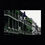 Thumbnail: French Quarter Balconies with a Pop of green, Royal Street, New Orleans