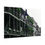 Thumbnail: French Quarter Balconies with a Pop of green, Royal Street, New Orleans