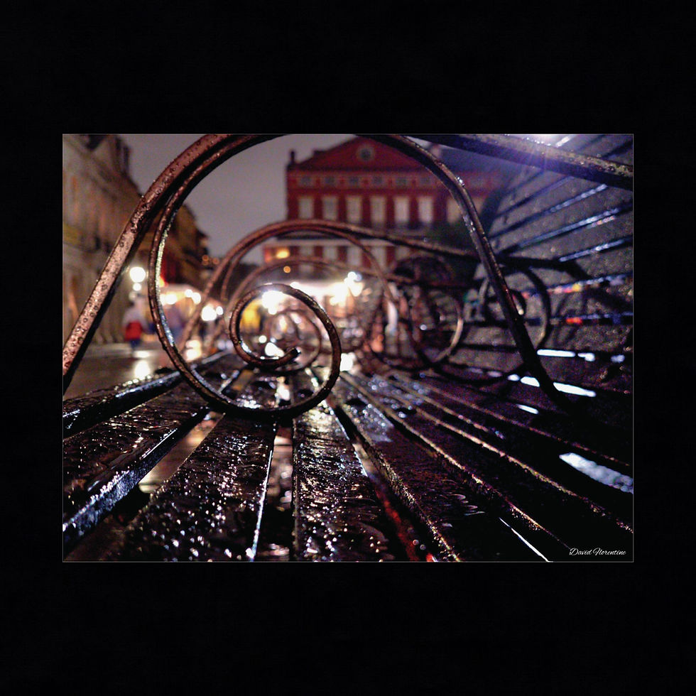 Through The Eyes of The Iron Benches, Jackson Square, New Orleans.